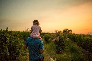 #сидимдома #карантин #покаЯдома #НекогдаСкучать доставка вина на дом!